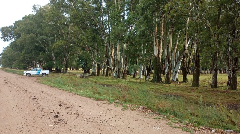 Fiscal Serrano: Sofa fue encontrada atada de pies y 